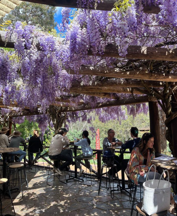 Chalet Healy Restaurant Cafe